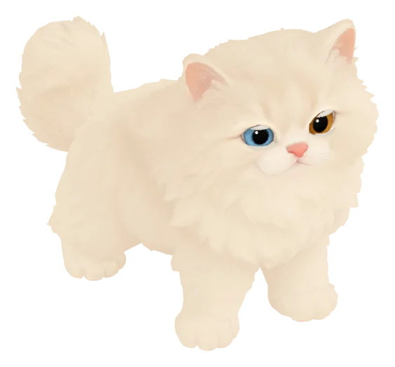 ウィンドウのほうを見上げるペルシャの子ねこ