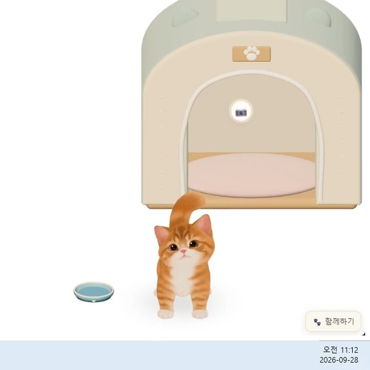 最初からあるおうちとごはん皿の前に座る子ねこ（実際のアプリ画面）