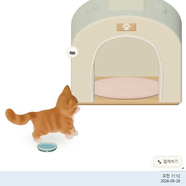 Called by name, the ginger cat crosses a Windows desktop, sits and looks straight at the camera