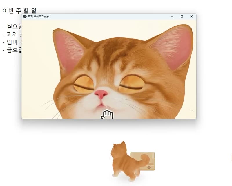 The cat sits under a playing video window and watches it