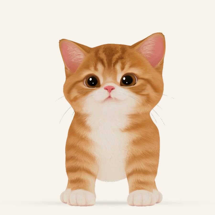 The kitten looking straight at the camera and slow-blinking