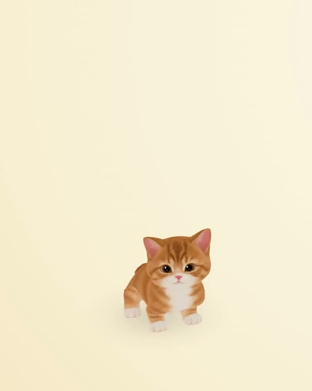 The same cat at four ages