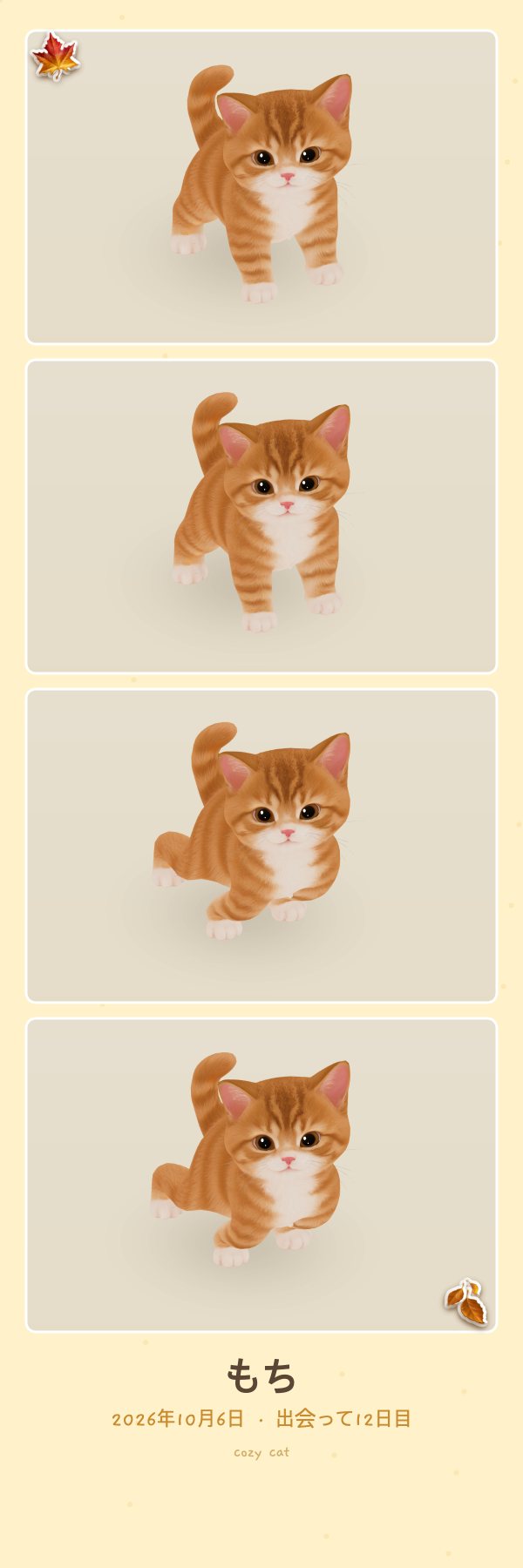 アプリで撮った茶トラの子ねこの4カット写真