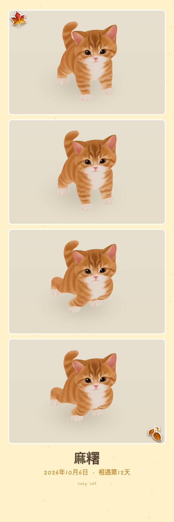 用应用拍的橘猫四格照