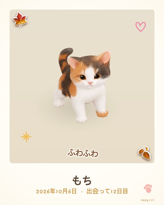 アプリで撮った三毛の子ねこのポラロイド写真。名前はもち、出会って12日目
