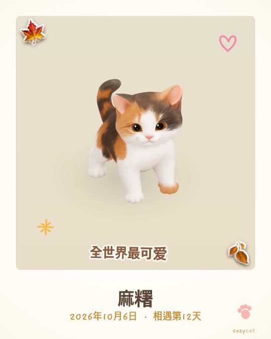 用应用拍的三花小奶猫拍立得，名字叫麻糬，相遇第12天
