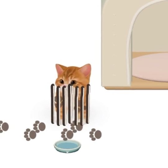 ひっかき傷のうしろからのぞくねこ